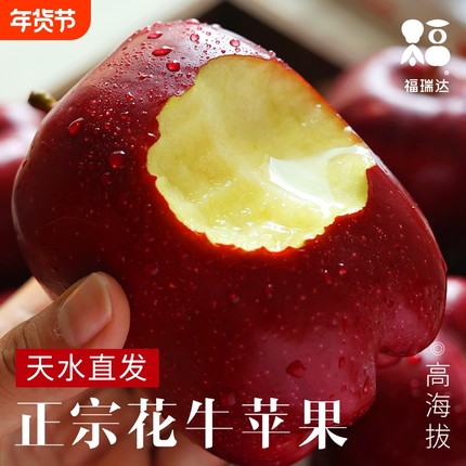 花牛苹果正宗甘肃天水10斤水果新鲜整箱当季糖心红蛇粉面丑平安果