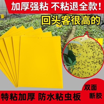 黄板双面粘虫板贴纸强力灭杀小虫
