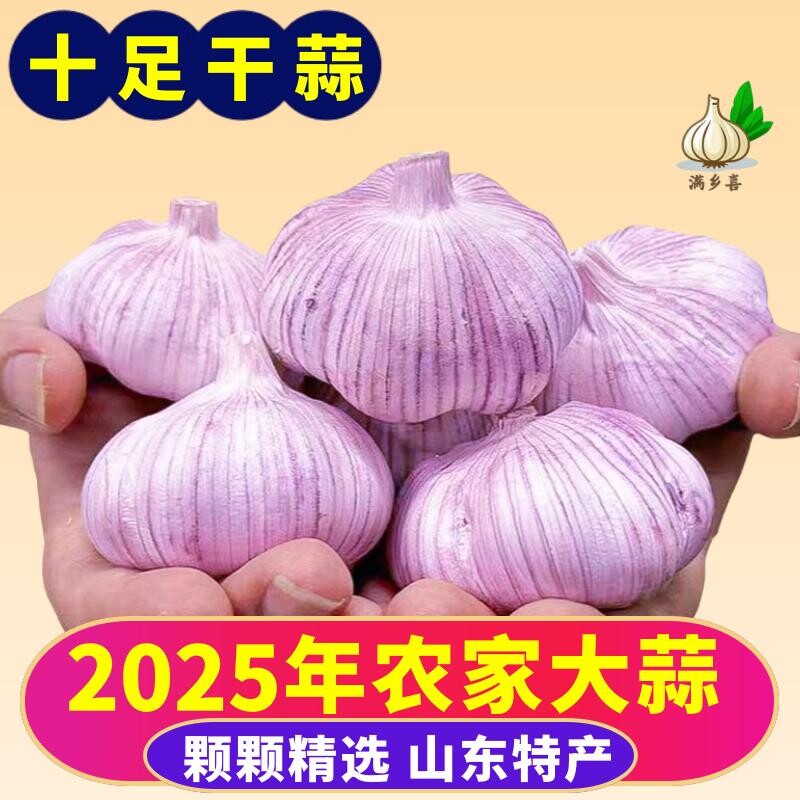【今日特卖】山东紫皮大蒜干蒜批发红皮大蒜子优质2025年便宜大蒜