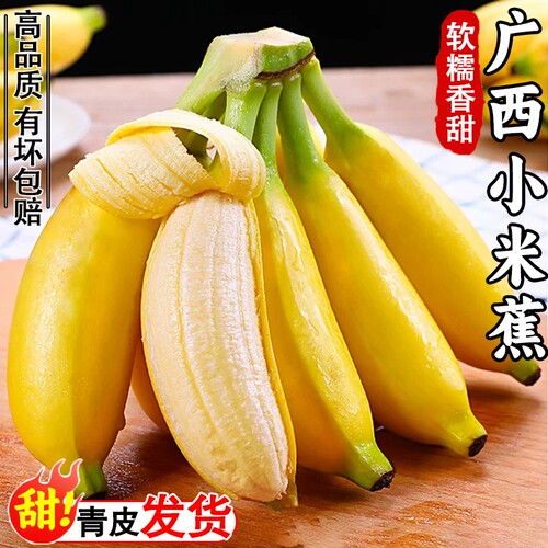 广西小米蕉baby香蕉青皮需催熟