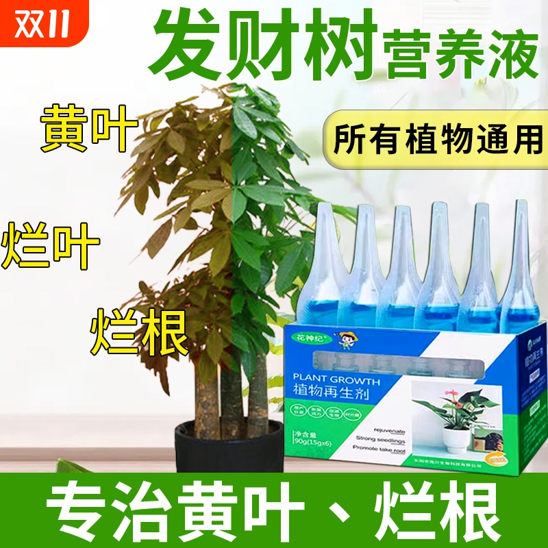 发财树专用营养液植物通用型花肥富贵竹水培绿植花卉盆栽养花肥料