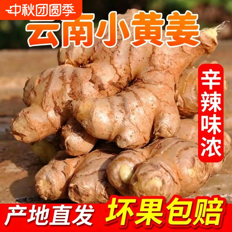 正宗小黄姜嫩姜仔新鲜生姜图片