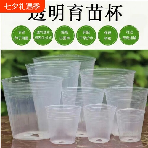 蝴蝶兰透明育苗杯|超4000次加购