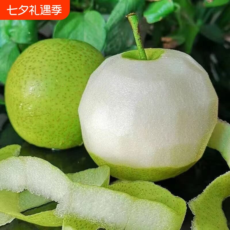 梨子新鲜水果砀山青梨皇冠梨当季翠冠梨香酥脆蜜早雪梨包邮