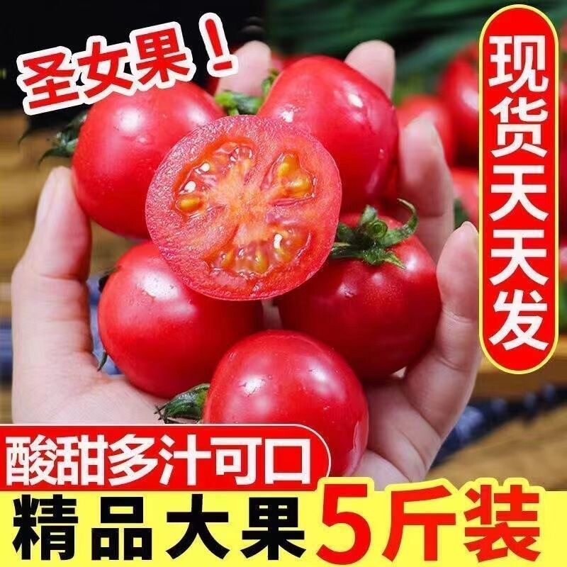 正宗广西千禧果圣女果小番茄樱桃小西红柿新鲜生吃应季水果爆汁