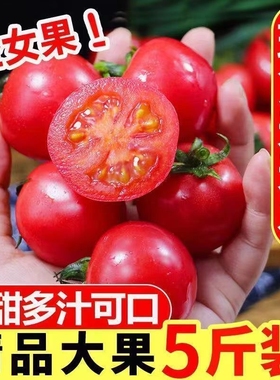 正宗广西千禧果圣女果小番茄樱桃小西红柿新鲜生吃应季水果爆汁