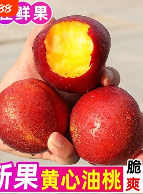 红皮黄肉油桃应当季新鲜水果桃子毛桃蜜桃脆甜整箱鲜果
