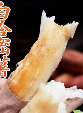 山东哈密冰糖薯番薯白心牛奶蜜薯