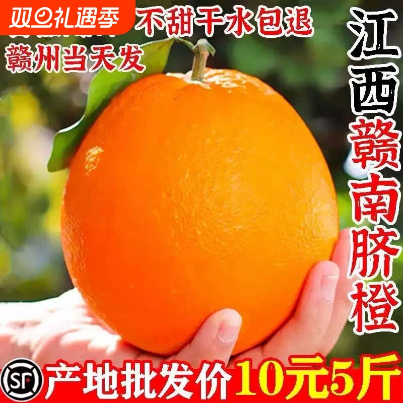 现摘正宗赣南脐橙赣州产地直发江西10斤装当季新鲜水果橙子5阳光