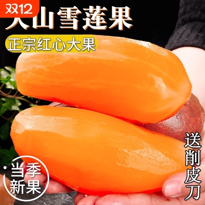 水果云南天山雪莲果新鲜3/5/9斤红心一级正宗雪连果当季整箱包邮