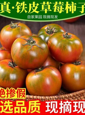 顺丰铁皮柿子丹东自然成熟草莓西红柿水果酸甜自家种生吃现摘包邮
