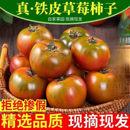 顺丰铁皮柿子丹东自然成熟草莓西红柿水果酸甜自家种生吃现摘包邮
