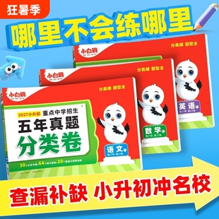 唯小白鸥小升初五年真题分类卷语文数学英语分班考试重点中学招生超详解人教版通用版试卷名校星空提前知识点老师衔接文言文初中