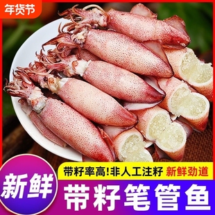 海兔子满籽笔管鱼新鲜带籽纯籽籽乌子乌小鱿鱼乌贼生鲜海鲜冷冻货