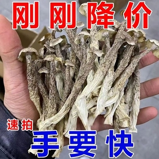 降价鹿茸菇特级干货 包邮 鹿茸菌古田特产脆脆菇煲汤新鲜营养精品