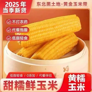 正宗东北黄糯玉米真空包装甜糯玉米加热即食玉米软糯香甜早餐饱腹