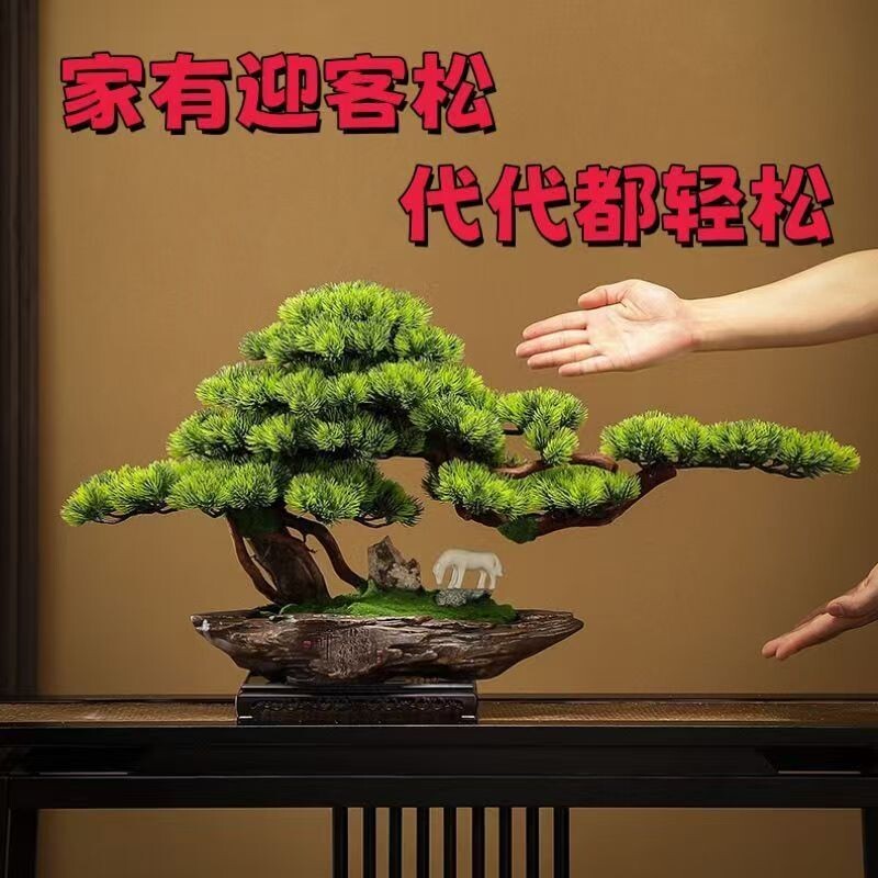 新品 迎客松盆景室内外绿植花卉四季地柏真树造型树老桩
