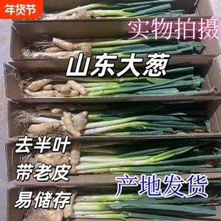 正宗山东大葱新鲜大葱香葱5斤包邮甜葱去半叶农家自种大葱优选葱