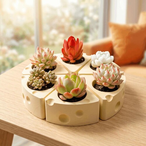 多肉植物奶酪花盆桌面绿植盆栽小众装饰带土套餐组合办公桌阳台