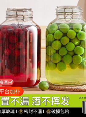 泡酒玻璃瓶专用空瓶青梅10斤酒坛酒罐容器食品级密封罐酿酒杨梅酒