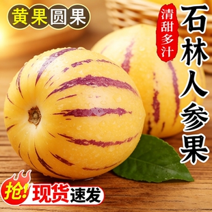 人参果新鲜水果云南石林黄心圆果树上熟七彩人叁果整箱包邮回购