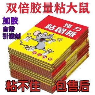 老鼠粘强力粘鼠板捕鼠神器强力胶粘大老鼠贴一窝端超强厨房家用贴