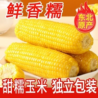 【东铁村】东北黄糯玉米220g*8根