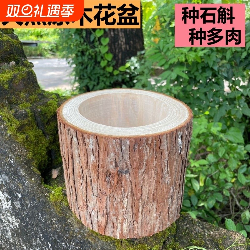 铁皮石斛多肉植物杉木木质原木花盆创意原木树桩木质花盆木头花盆