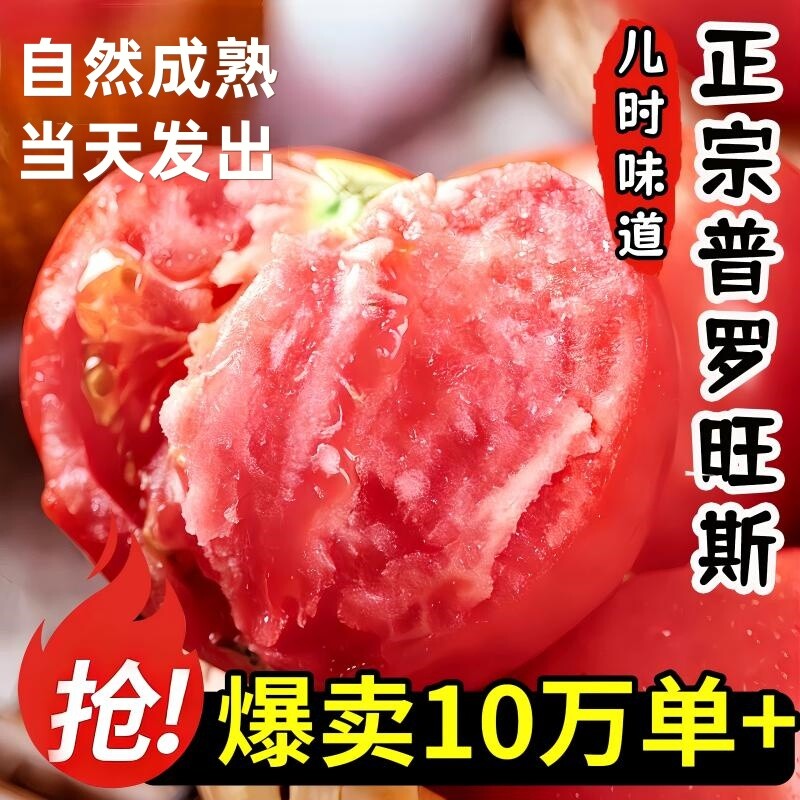 陕西泾阳正宗普罗旺斯西红柿当季自然熟沙瓤孕妇水果新鲜现摘包邮