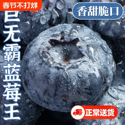 云南蓝莓鲜果顺丰包邮水果当季高山怡颗孕妇大果一颗果蔬巨无霸