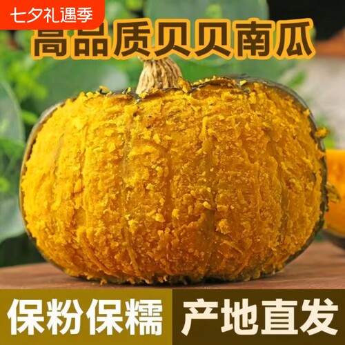 正宗真贝贝南瓜板栗味小南瓜粉糯婴儿南瓜辅食批发包邮粗粮香甜