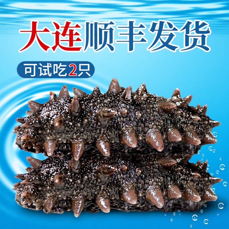 海参【大连顺丰发货】即食正品官方旗舰店独立包装袋一斤辽刺参