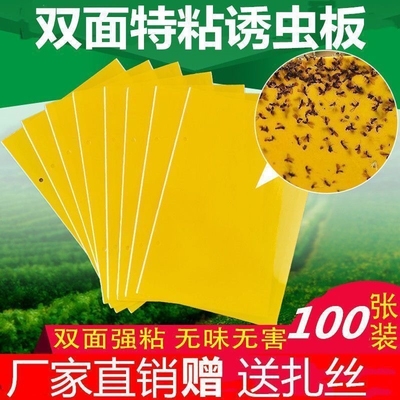 黄板双面粘虫板诱虫板纸贴诱捕器粘板黄色灭小飞虫沾果蝇强力蚊子