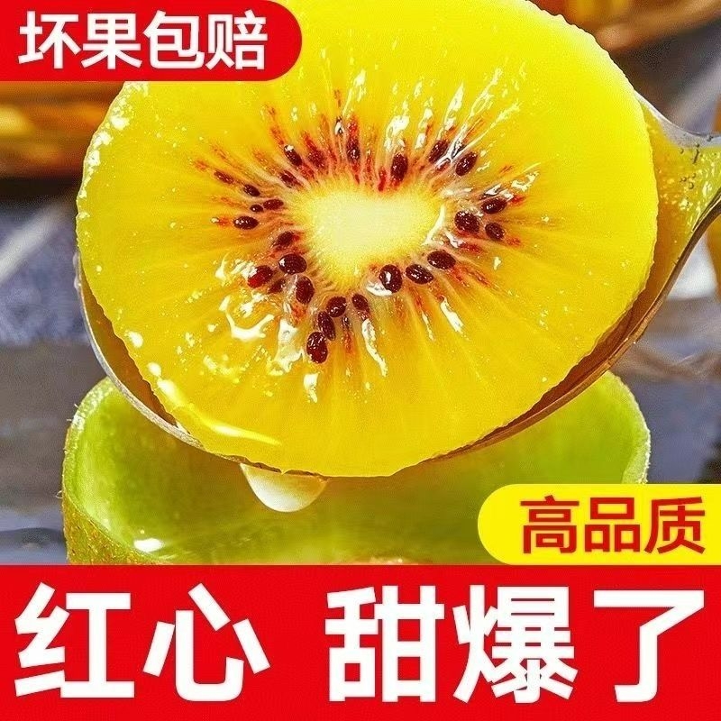正宗四川蒲江红心猕猴桃大果孕妇水果