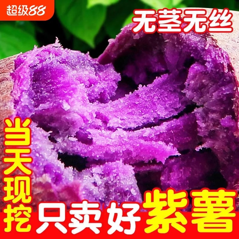 正品沙地紫薯糯新地番薯紫罗兰新鲜正宗香甜红薯农家地瓜现挖现发