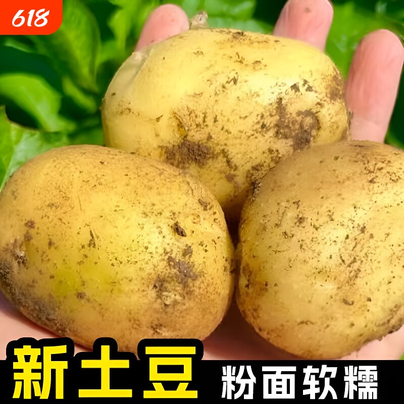 贵州新鲜农家黄心土豆马铃薯洋芋5斤9斤包邮炸薯片专用粉面
