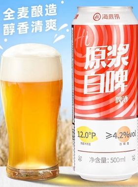 Hi海底捞原浆白啤同款精酿白啤酒整箱装500ml*12瓶全麦罐装酿造