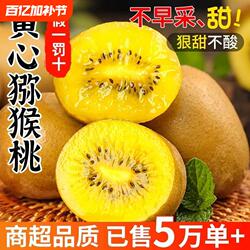 西峡黄心猕猴桃奇异果新鲜包邮大果阳光金果孕妇弥猴桃猴猕桃批发
