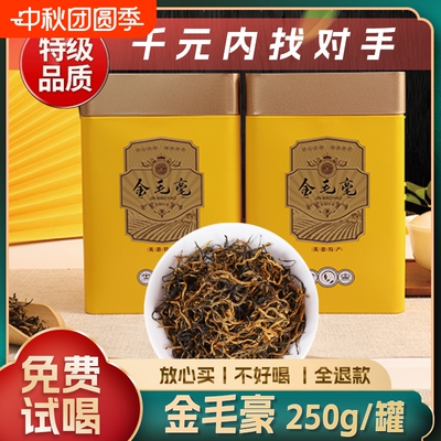 英红九号金毛毫红茶特级250g罐装