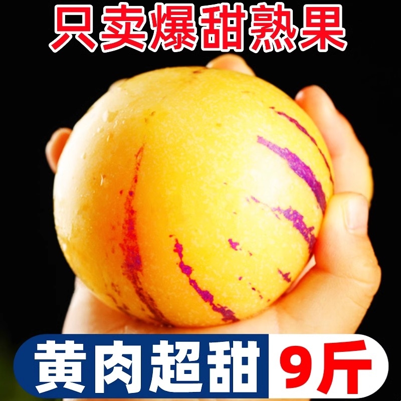 正宗云南人参果新鲜生水果七彩人生果黄肉大圆果娃娃果石林现摘