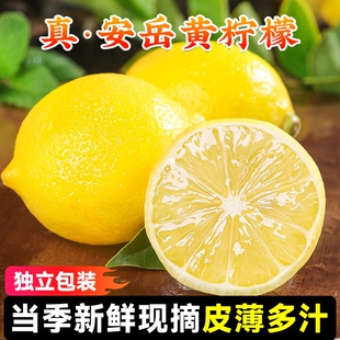 四川安岳黄柠檬新鲜柠檬薄皮多汁奶茶专用宁檬现货大柠檬