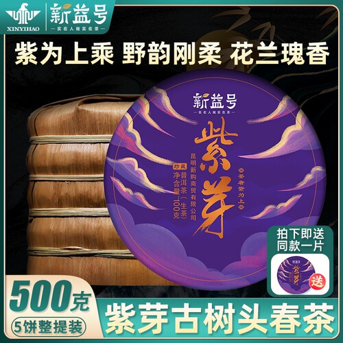 2022头春新茶紫芽普洱茶生茶茶饼