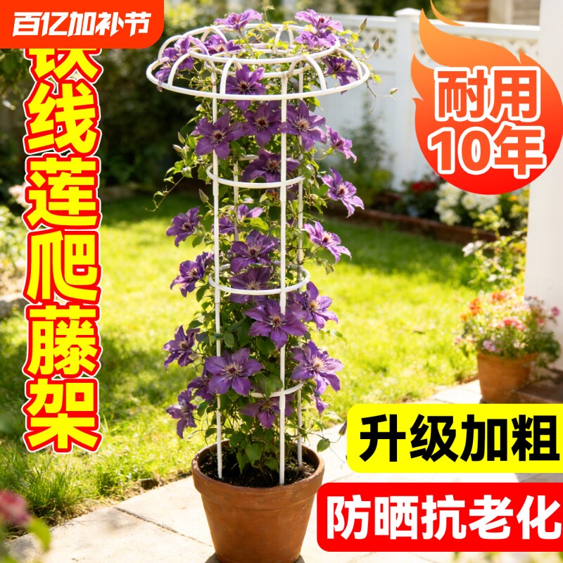 铁线莲爬藤架花架支撑杆园艺月季花攀爬架子花卉植物固定架蘑菇头