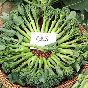 新鲜甜杆西兰苔迷你西兰花苔现摘芦笋青花苔时令蔬菜