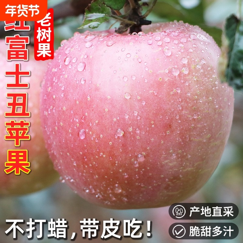 陕西正宗红富士丑苹果水果新鲜冰糖心萍果孕妇整箱包邮脆甜多汁,水产肉类/新鲜蔬果/熟食,苹果,淘宝优惠券,粉丝福利购,淘宝优惠卷