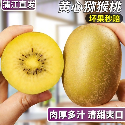 黄心猕猴桃黄心蒲江肉厚多汁