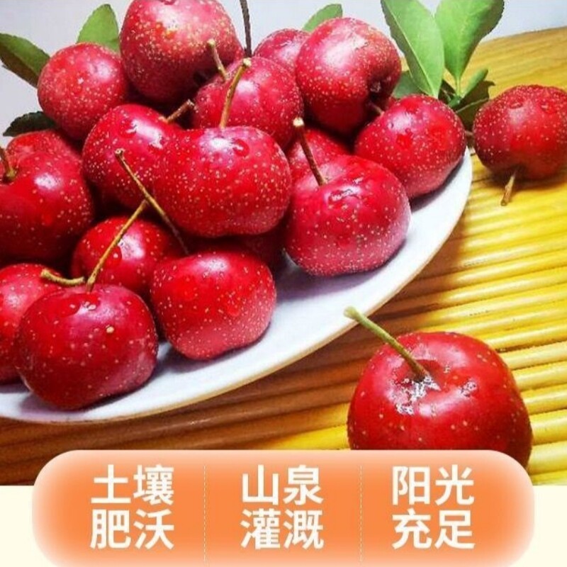 新鲜山楂鲜果糖葫芦原料酸甜做红果棉球雪球当季现摘大果批发精品