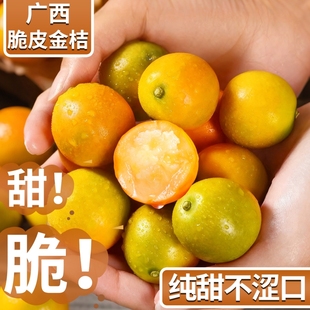 正宗广西脆皮金桔新鲜水果当季 现摘甜蜜小金柑桔金橘融安特产整箱