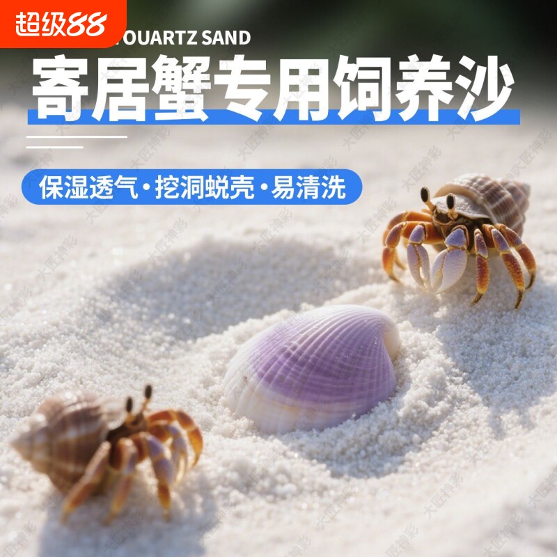 寄居蟹专用砂珊瑚沙天然垫材螃蟹海沙鱼缸造景底砂菲律宾白沙饲养 - 实物图