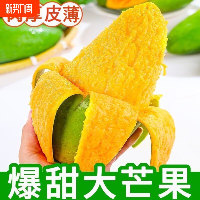 云南大青芒玉芒青皮爆甜金煌芒新鲜热带水果应季水果特产特大芒果